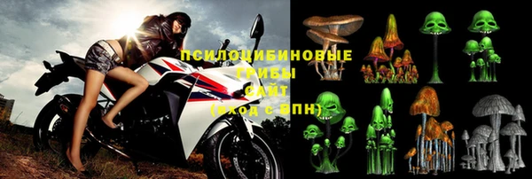 прущий лед Белокуриха