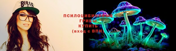 прущий лед Богородск