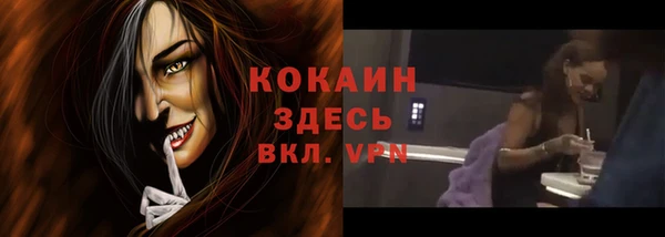 шишки Богданович