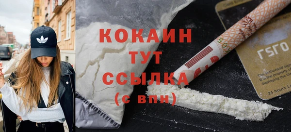 шишки Богданович
