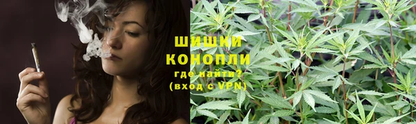 шишки Богданович