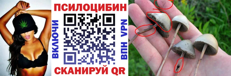 наркошоп  Бутурлиновка  Псилоцибиновые грибы мухоморы 